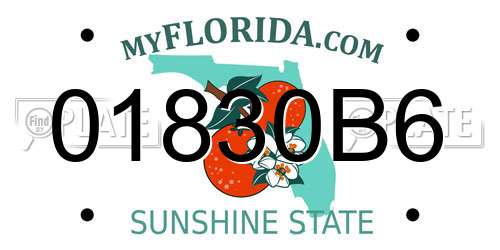 01830B6 Florida License Plate