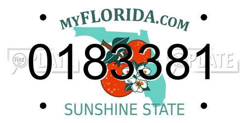 0183381 Florida License Plate