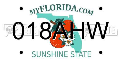 018AHW Florida License Plate