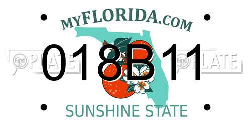 018B11 Florida License Plate