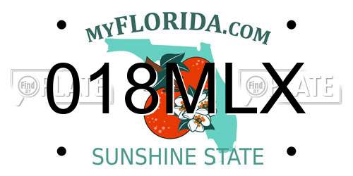 018MLX Florida License Plate