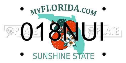 018NUI Florida License Plate