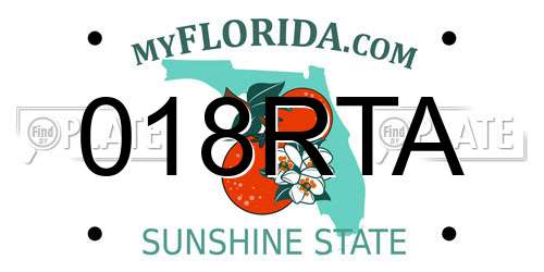018RTA Florida License Plate