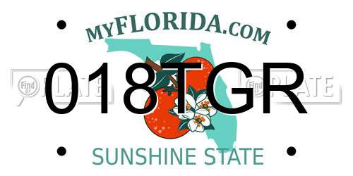 018TGR Florida License Plate