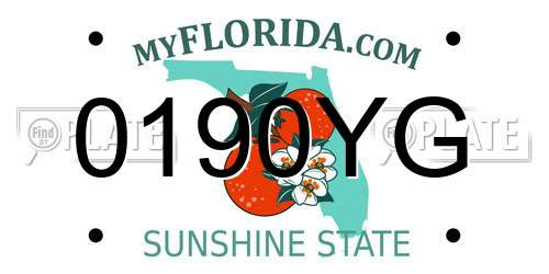 0190YG Florida License Plate