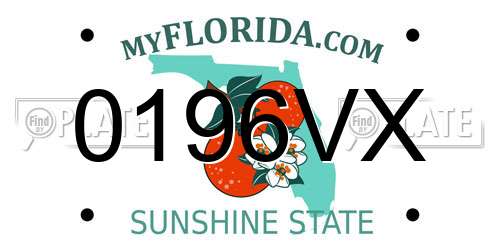 0196VX Florida License Plate