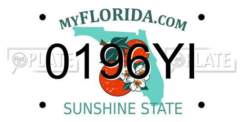 0196YI Florida License Plate
