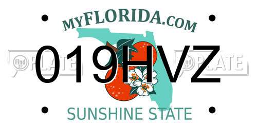 019HVZ Florida License Plate