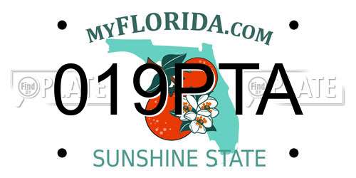 019PTA Florida License Plate