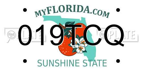 019TCQ Florida License Plate