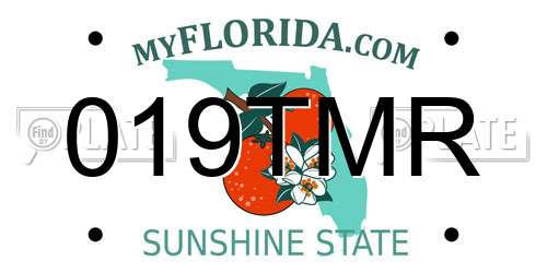 019TMR Florida License Plate