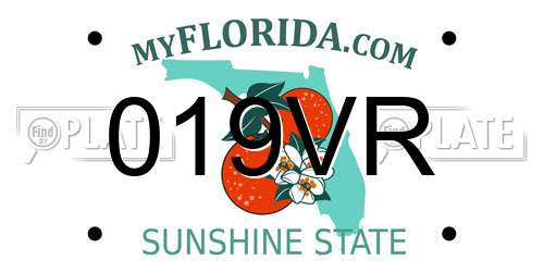 019VR Florida License Plate