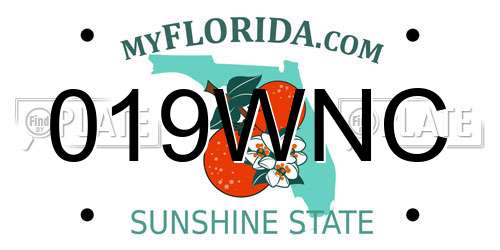 019WNC Florida License Plate