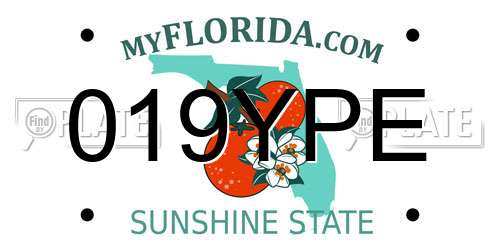 019YPE Florida License Plate