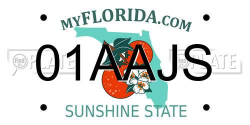01AAJS Florida License Plate