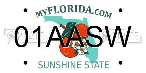 01AASW Florida License Plate