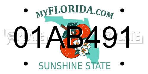01AB491 Florida License Plate