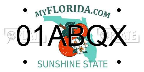 01ABQX Florida License Plate