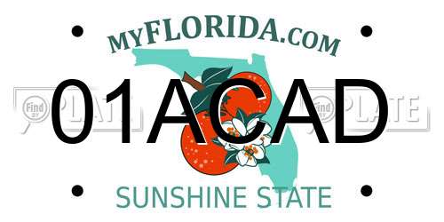 01ACAD Florida License Plate