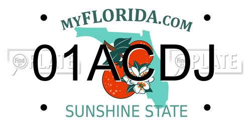 01ACDJ Florida License Plate