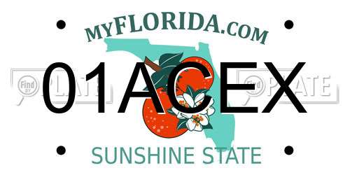 01ACEX Florida License Plate