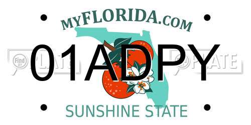 01ADPY Florida License Plate