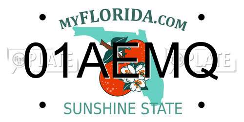 01AEMQ Florida License Plate