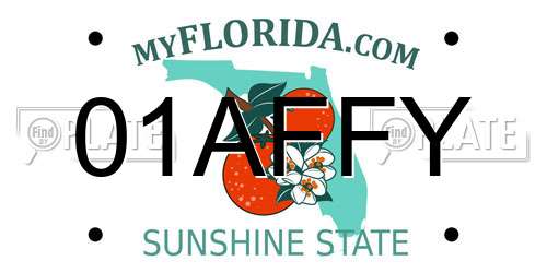 01AFFY Florida License Plate