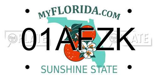 01AFZK Florida License Plate
