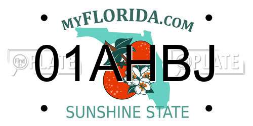 01AHBJ Florida License Plate