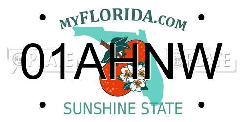 01AHNW Florida License Plate