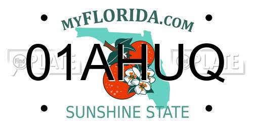 01AHUQ Florida License Plate