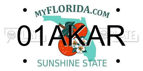 01AKAR Florida License Plate