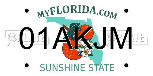 01AKJM Florida License Plate
