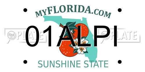 01ALPI Florida License Plate
