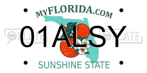 01ALSY Florida License Plate