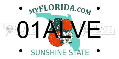 01ALVE Florida License Plate