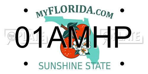 01AMHP Florida License Plate