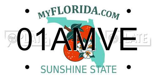 01AMVE Florida License Plate