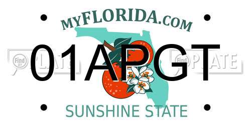 01APGT Florida License Plate