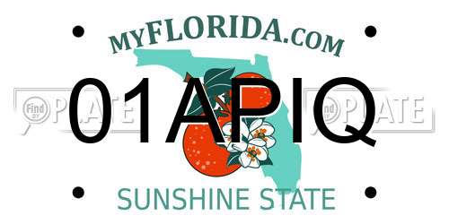 01APIQ Florida License Plate