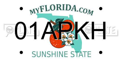01APKH Florida License Plate