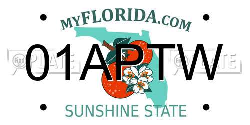 01APTW Florida License Plate