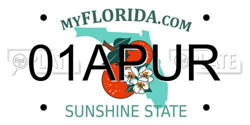 01APUR Florida License Plate