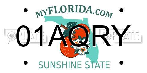 01AQRY Florida License Plate