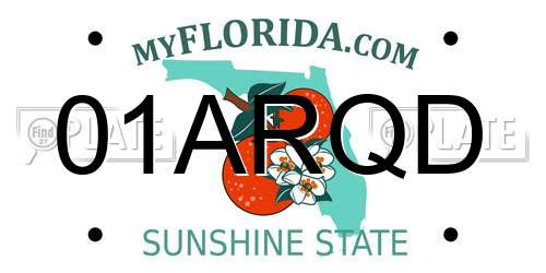01ARQD Florida License Plate