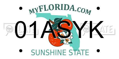 01ASYK Florida License Plate