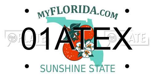 01ATEX Florida License Plate