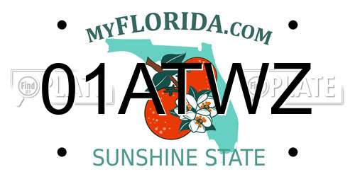 01ATWZ Florida License Plate