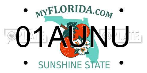 01AUNU Florida License Plate